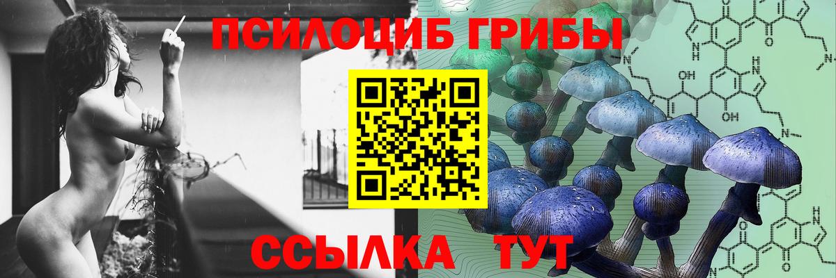 Краснодар  Галлюциногенные грибы мицелий  цена наркотик  Вход с VPN 